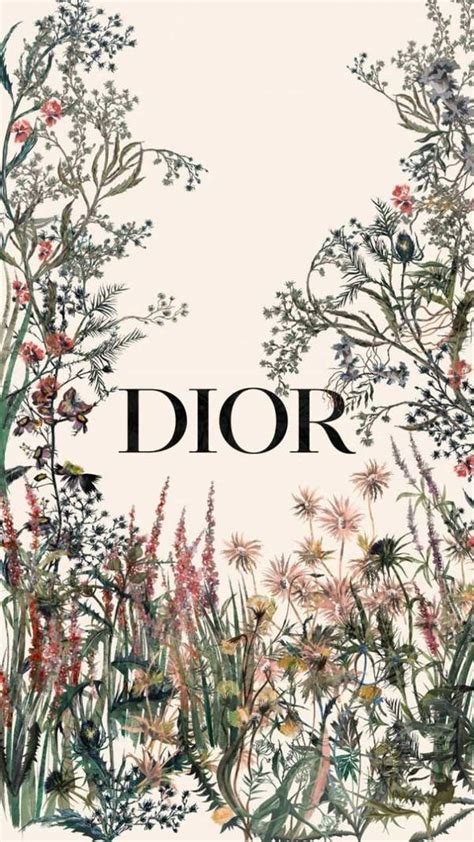 dior background|christian Dior date of birth.